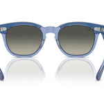 715911TopVioletOnTransparentViolet