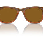 670683ShinyCaramel