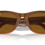 670683ShinyCaramel