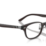 8290TransparentBrown