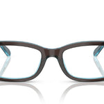 8366BrownOnTransparentBlue