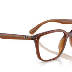 8409TransparentBrown