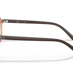 3899TransparentBrown