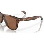 Oakley Frogskins OO9013 Designer Sunglasses