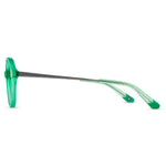 eyeglasses