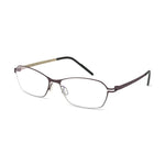 Eyeglasses