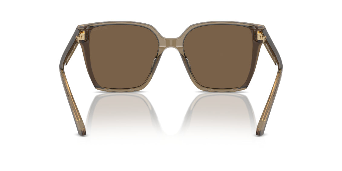 505173transparentbrown