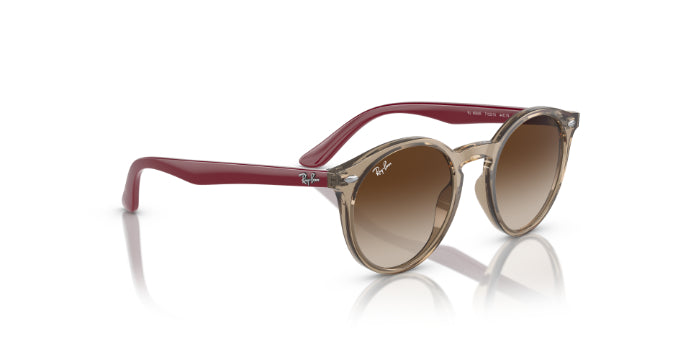 712313TransparentBrown