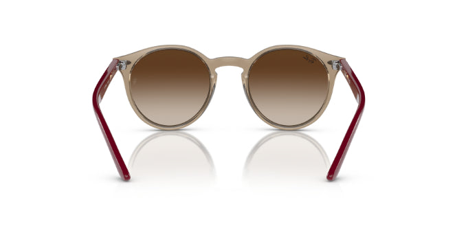 712313TransparentBrown