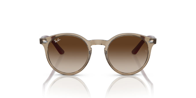 712313TransparentBrown