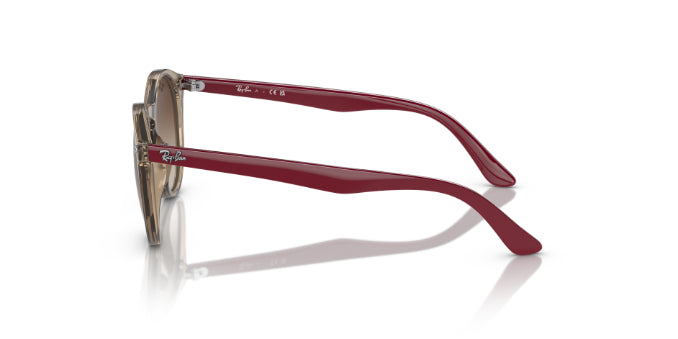 712313TransparentBrown