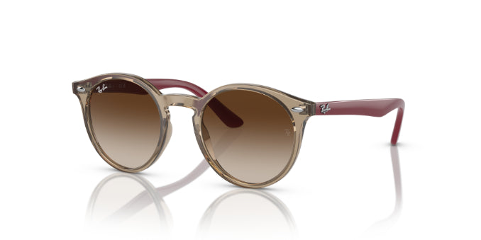 712313TransparentBrown