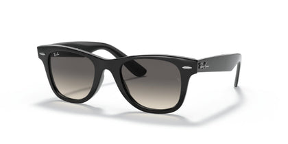 10011Black