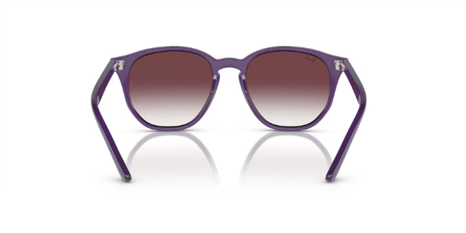 713136OpalViolet