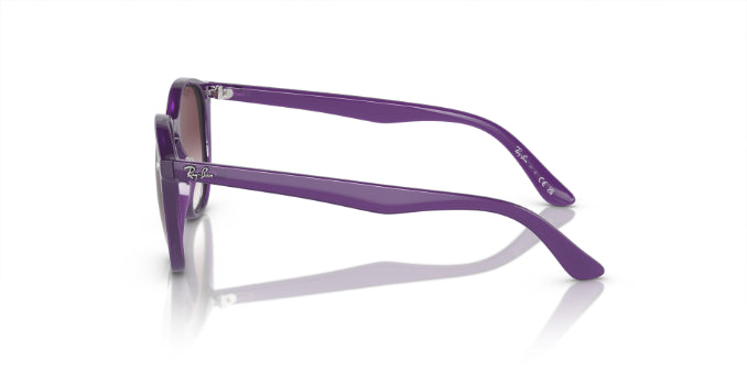 713136OpalViolet