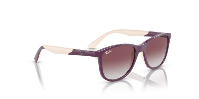 71348GPurpleOnBeige