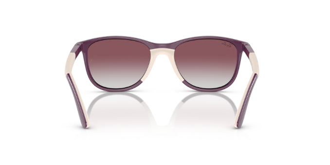 71348GPurpleOnBeige