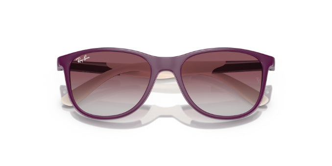 71348GPurpleOnBeige