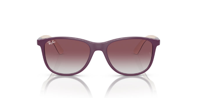 71348GPurpleOnBeige