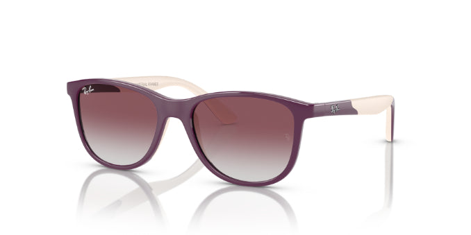71348GPurpleOnBeige