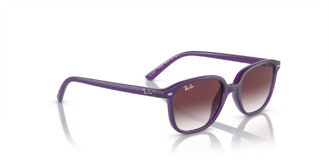 713136OpalViolet