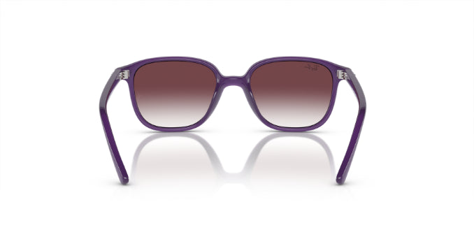 713136OpalViolet