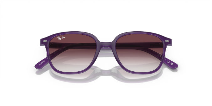 713136OpalViolet