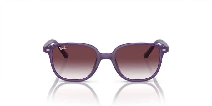 713136OpalViolet