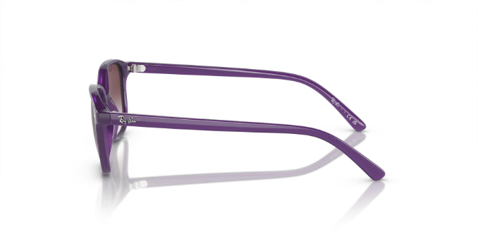 713136OpalViolet