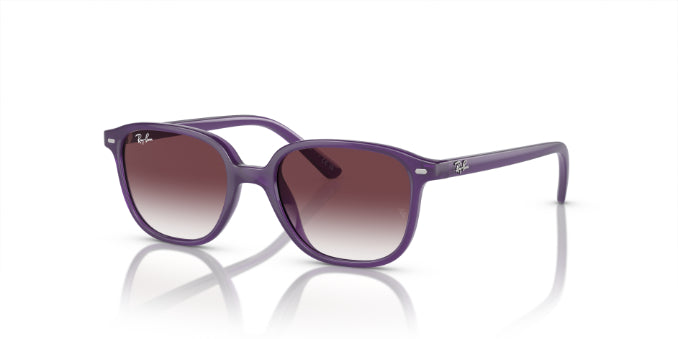 713136OpalViolet