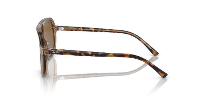 7152T5HavanaOnTransparentBrown