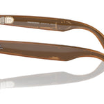 670683ShinyCaramel
