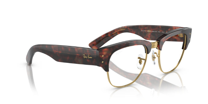 2372TortoiseOnGold