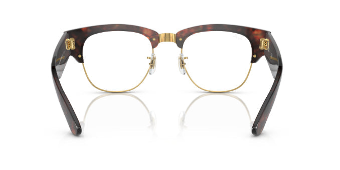 2372TortoiseOnGold