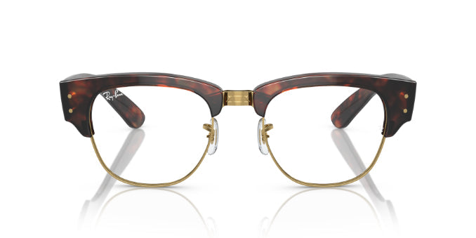 2372TortoiseOnGold