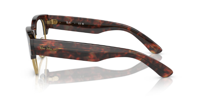 2372TortoiseOnGold