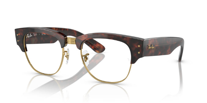 2372TortoiseOnGold