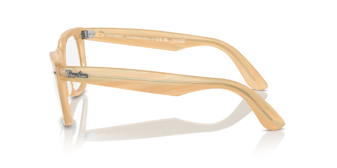 8383PhotoStripedBrown