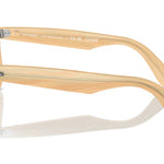 8383PhotoStripedBrown