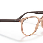 8172TransparentBrown