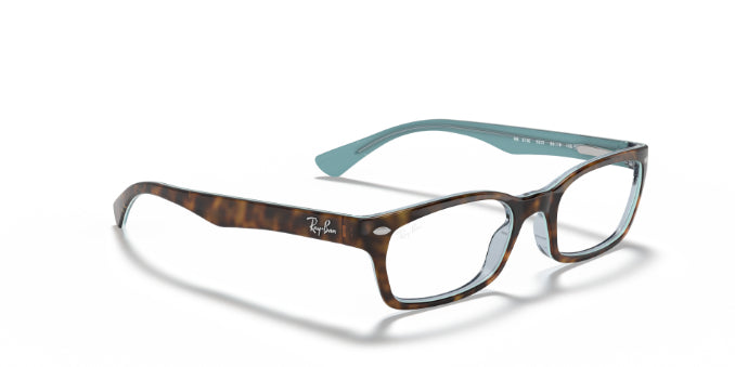 5023Tortoise