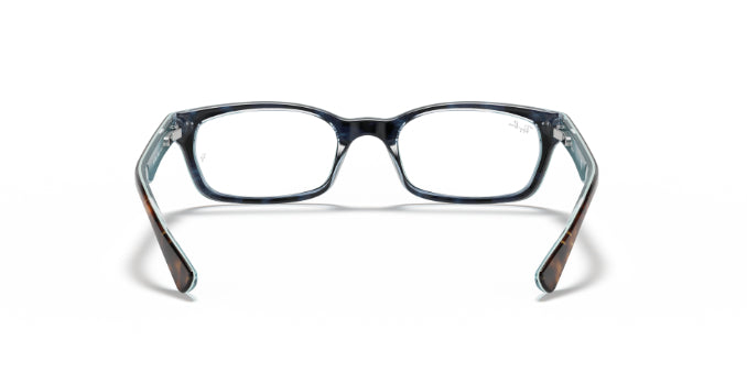 5023Tortoise
