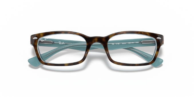 5023Tortoise