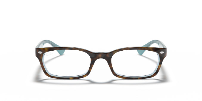 5023Tortoise