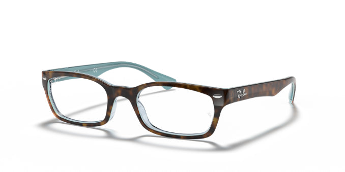 5023Tortoise