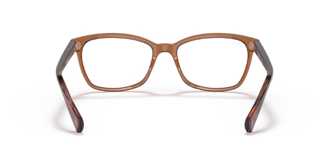8179TransparentBrown
