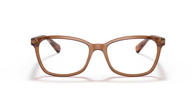 8179TransparentBrown