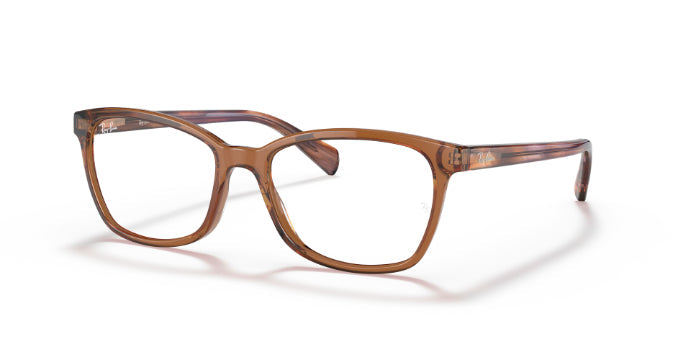 8179TransparentBrown