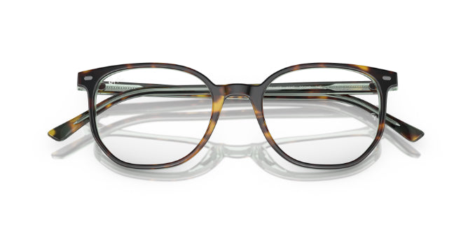 8249HavanaOnTransparentGreen