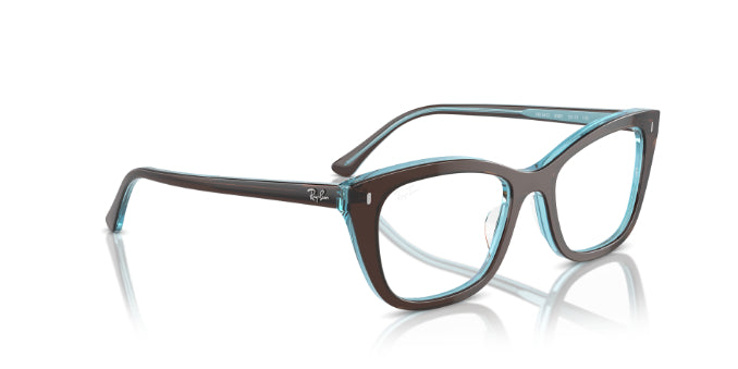 8366BrownOnTransparentBlue